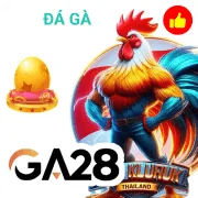 vnd77 Game 05